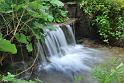 acqua del sambuco